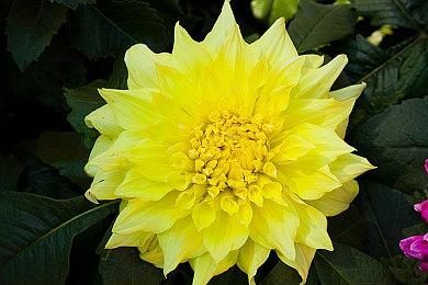 BioWare《圣歌》港服PS商店骨折促销 折后仅需11.5元